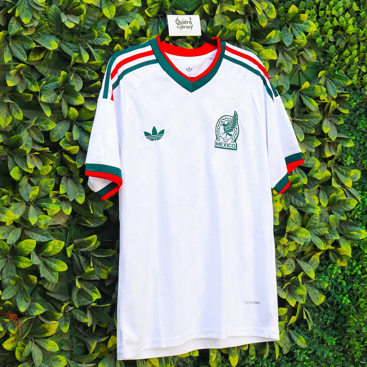 México Mundial 2026 - Visita