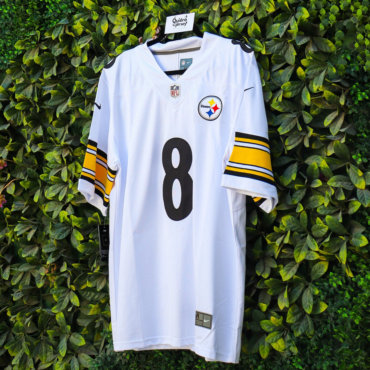 Pittsburgh Steelers - Visita
