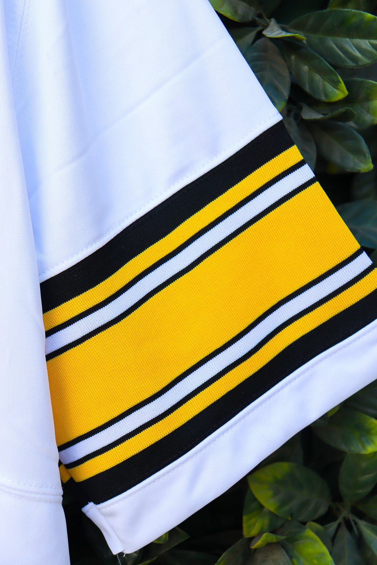 Pittsburgh Steelers - Visita
