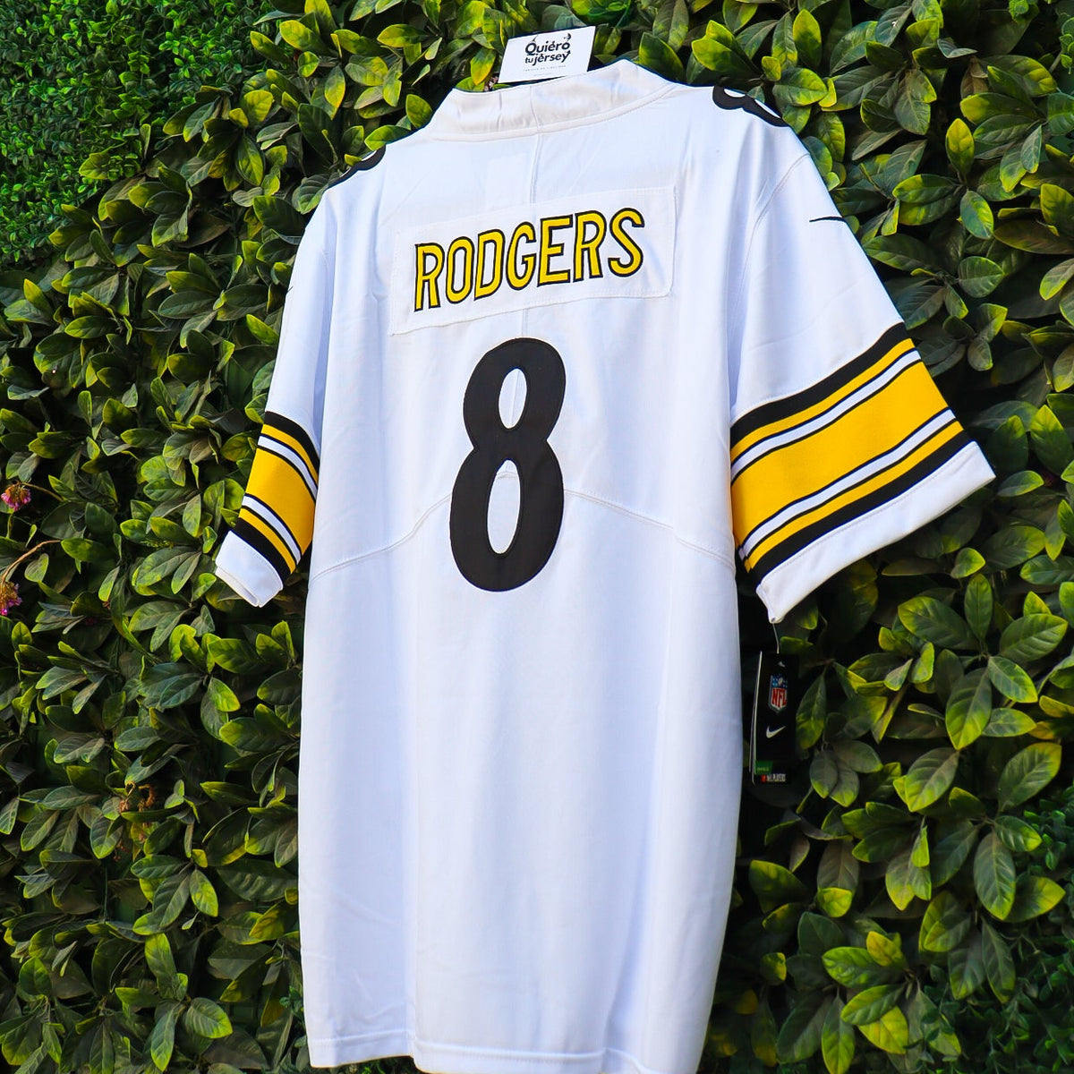 Pittsburgh Steelers - Visita