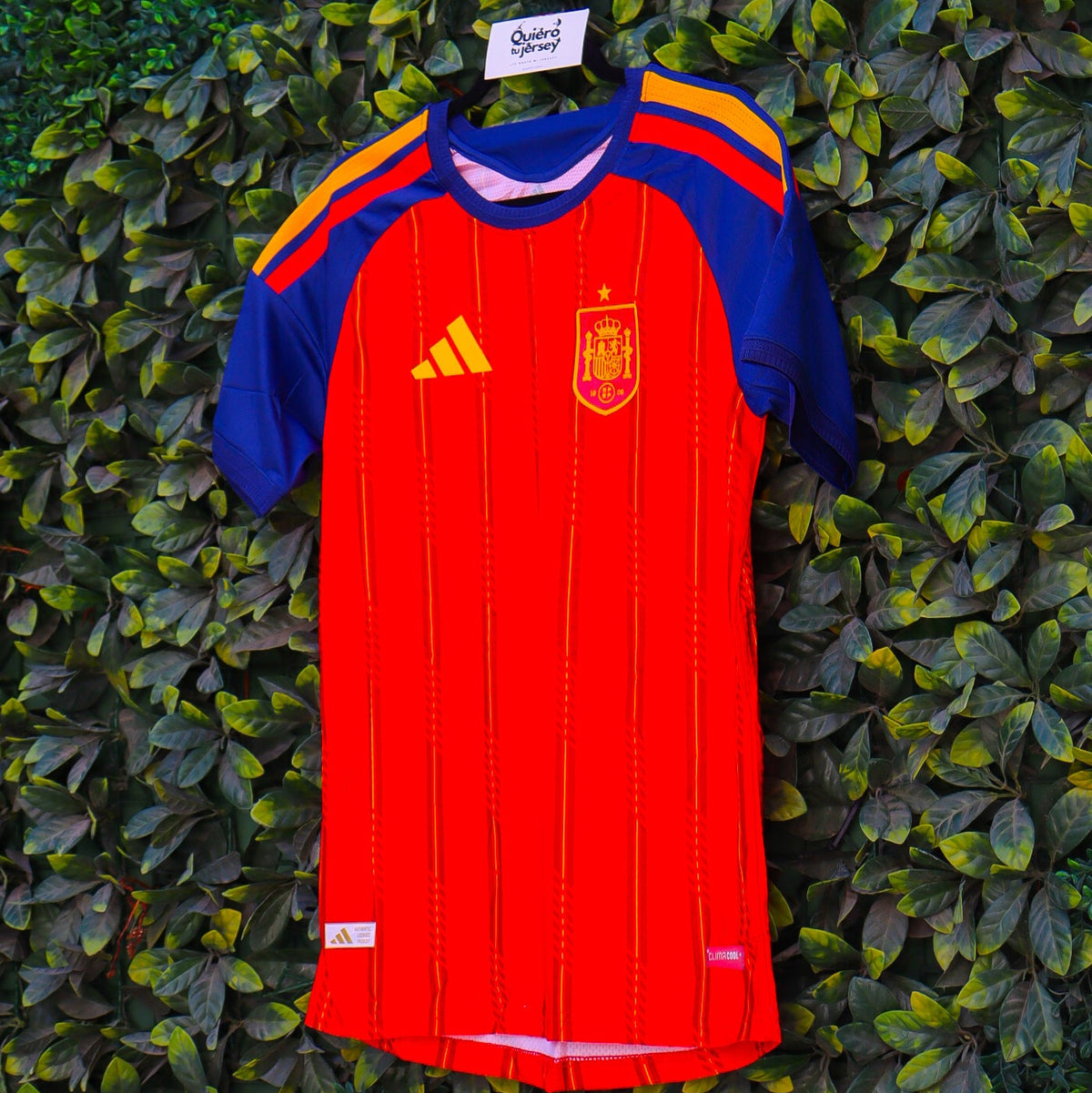 España Mundial 2026 - Local