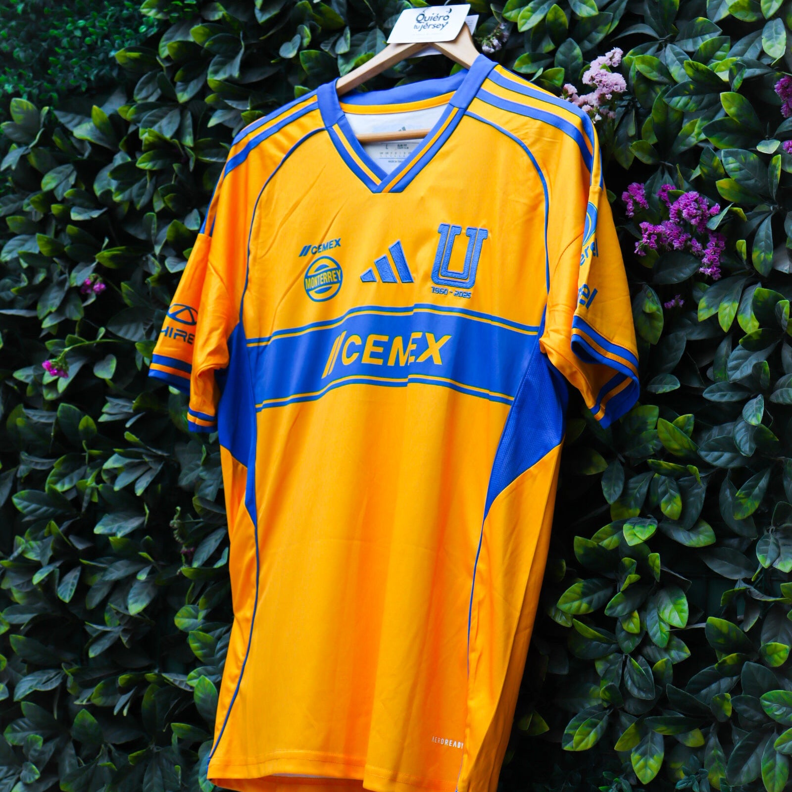 Tigres UANL 25/26 - Local