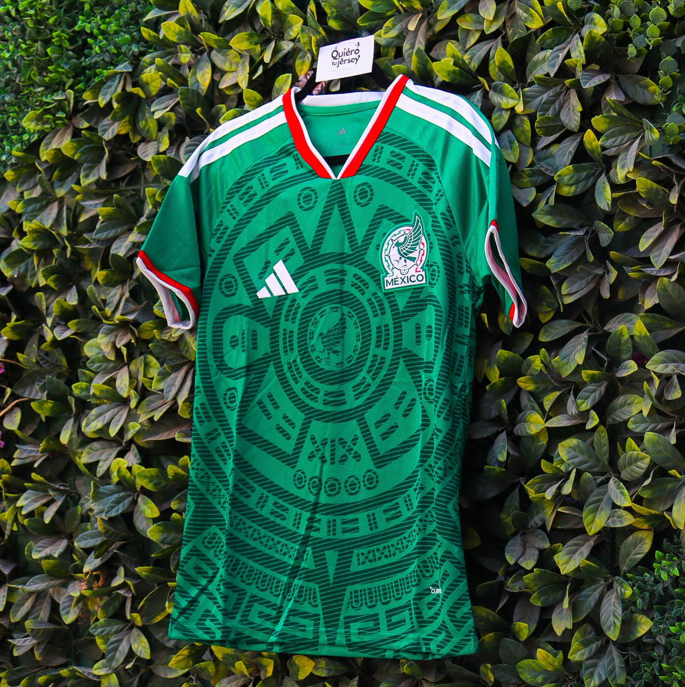 México Mundial 2026 - Local
