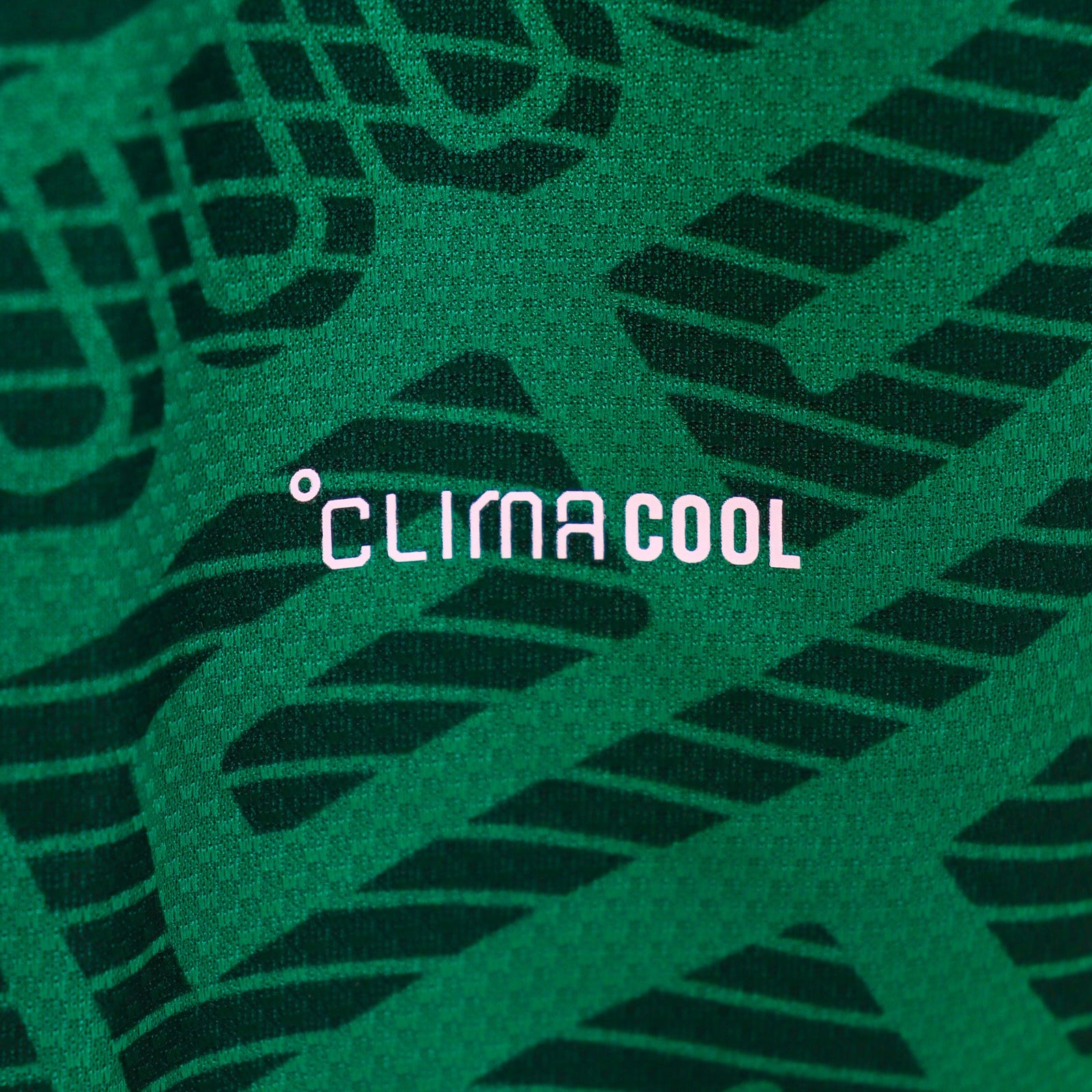 México Mundial 2026 - Local