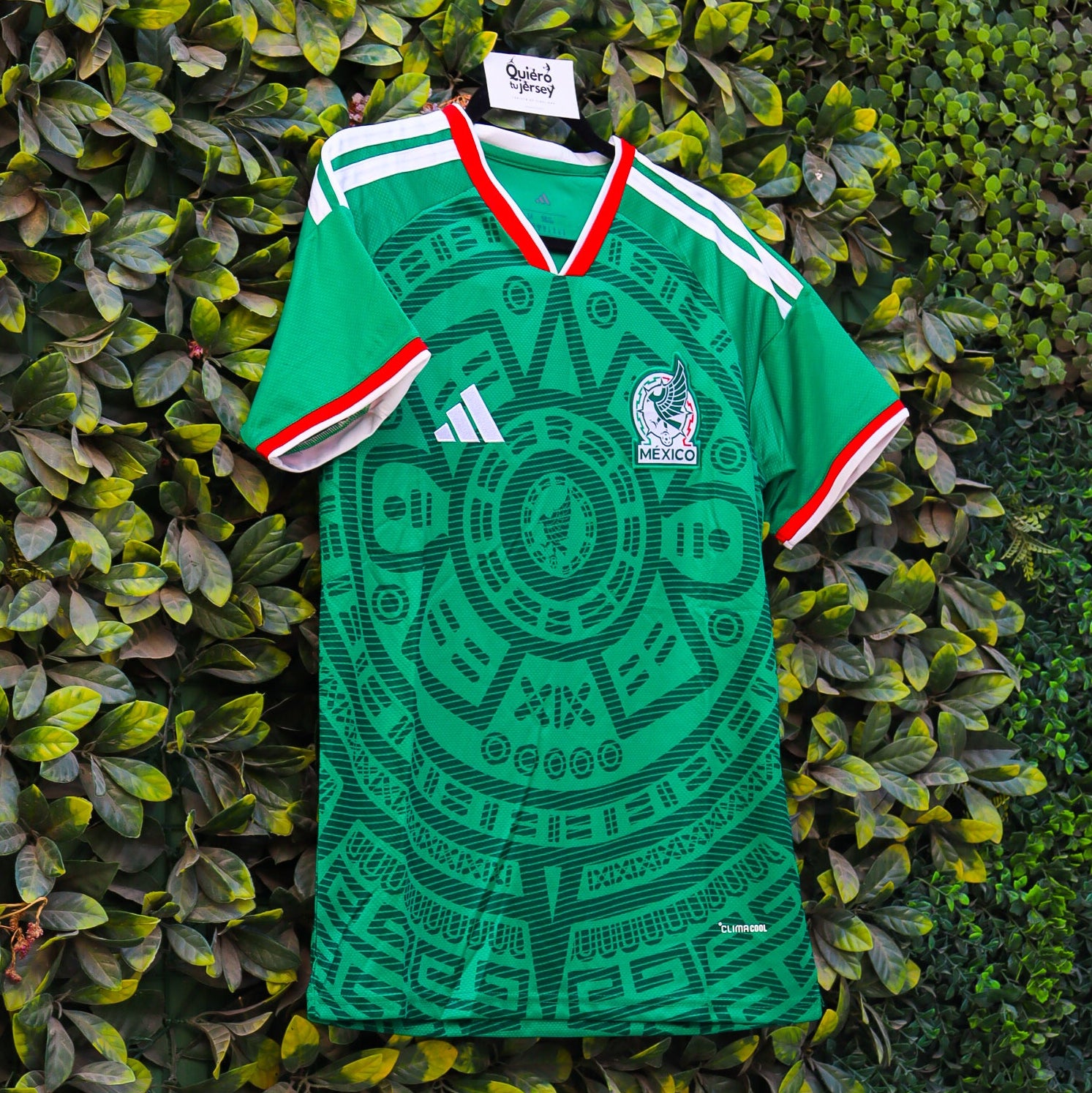 México Mundial 2026 - Local