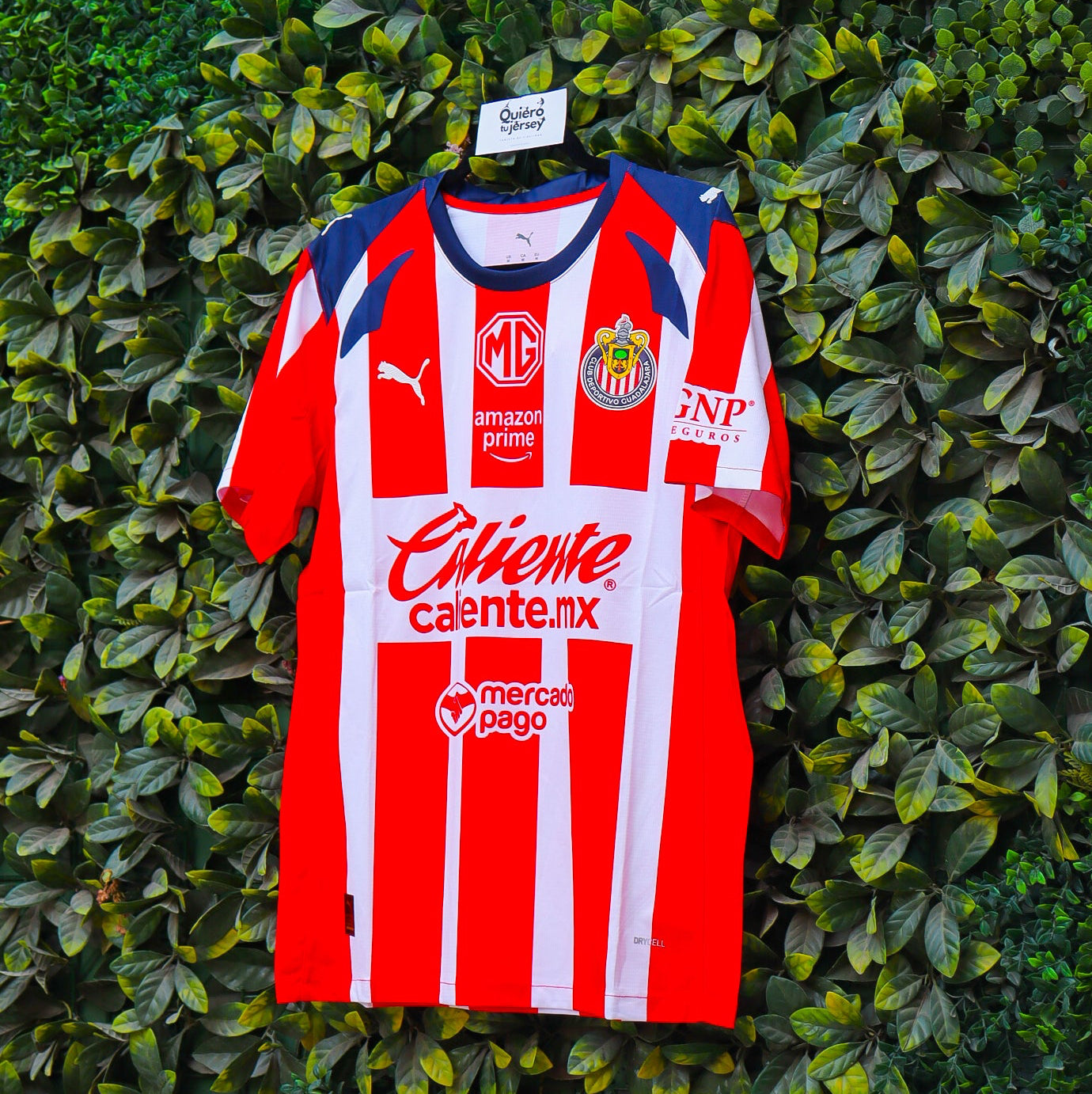 Chivas 25/26 - Local