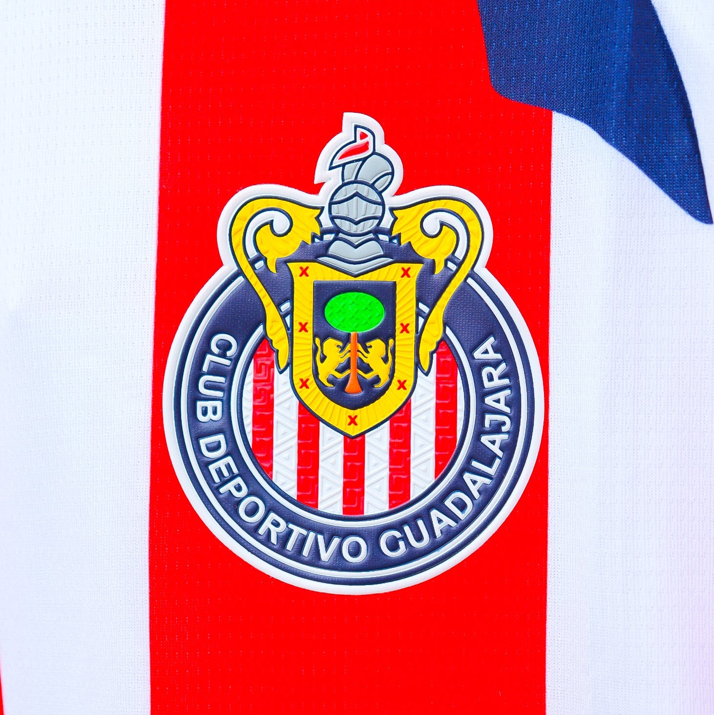 Chivas 25/26 - Local
