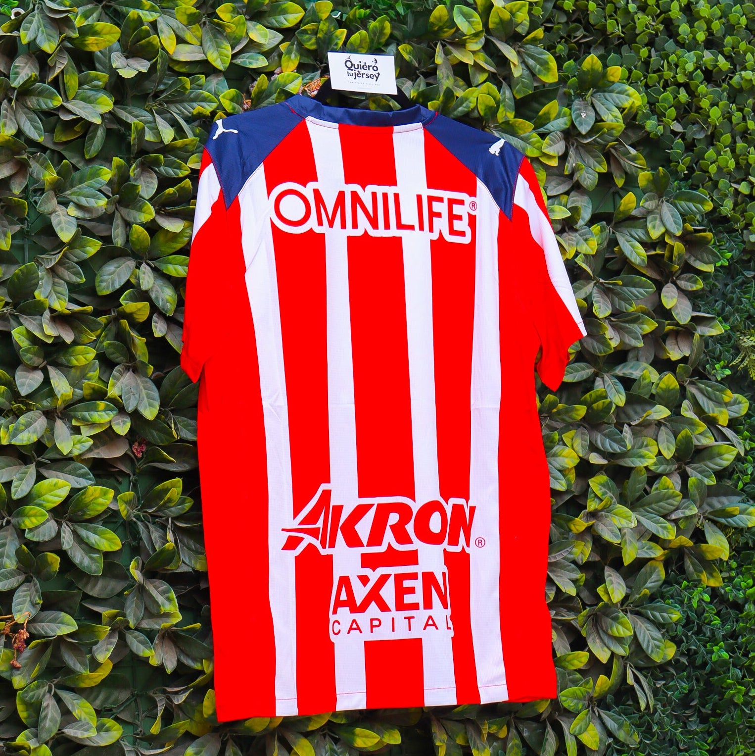 Chivas 25/26 - Local
