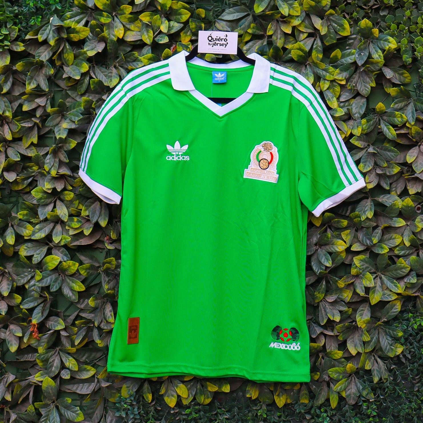 México 1986 - Local