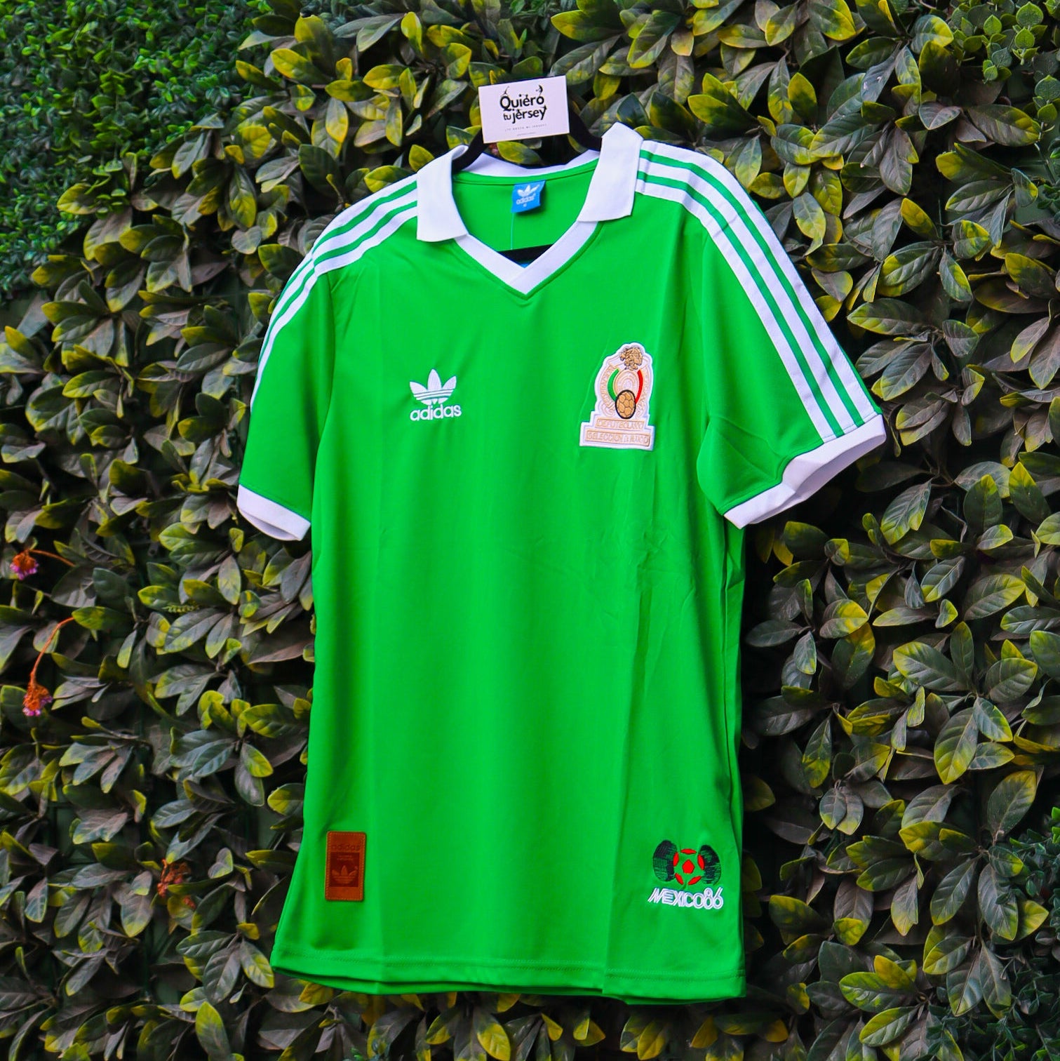 México 1986 - Local